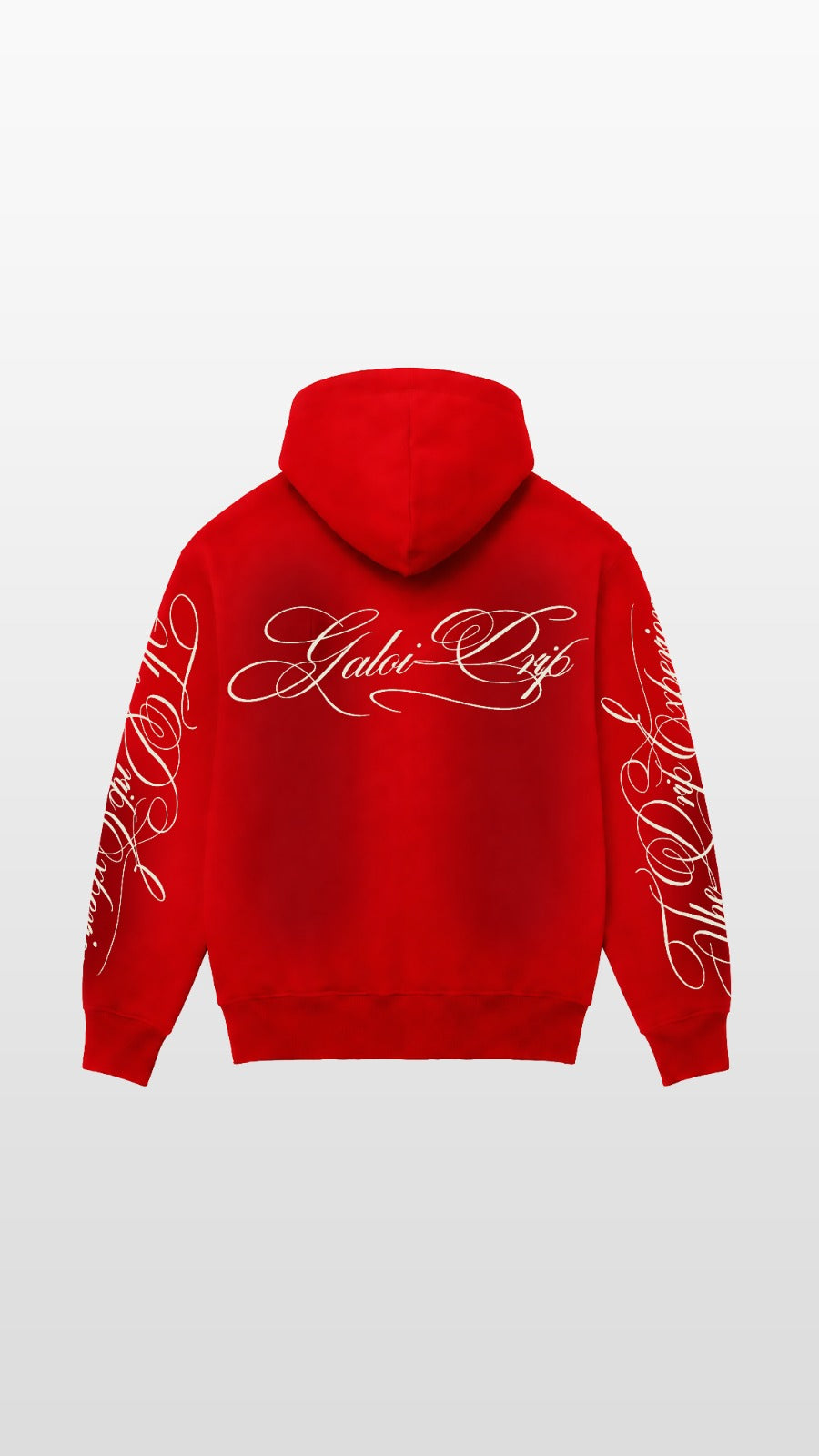 ZIP HOODIE GALOI LETTERING